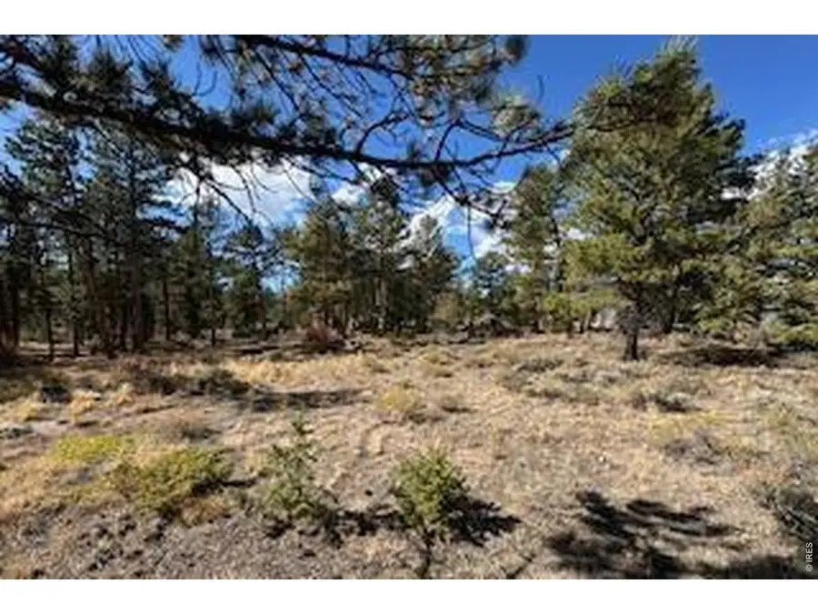 2921 Fox Acres E Dr, Red Feather Lakes, CO 80545 - #2
