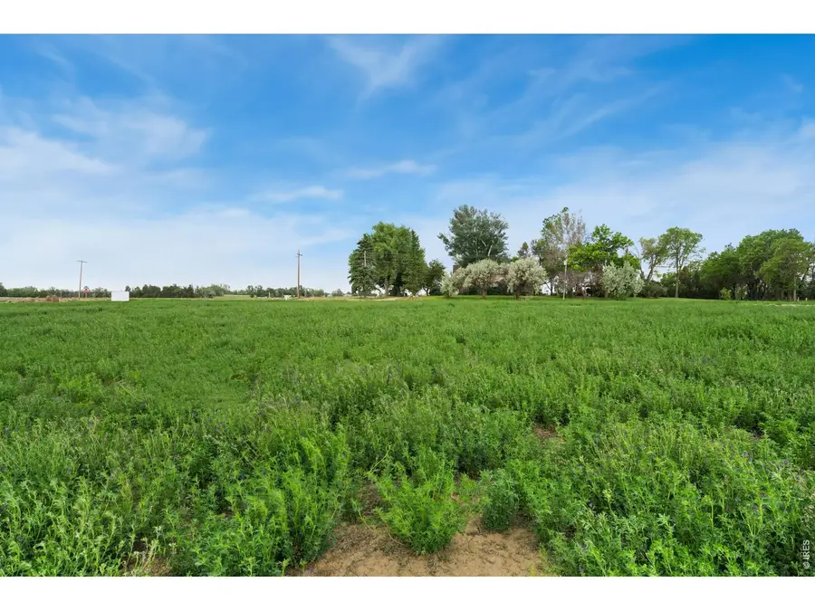 1534 Hauck Meadows Dr, Longmont, CO 80504 - #3