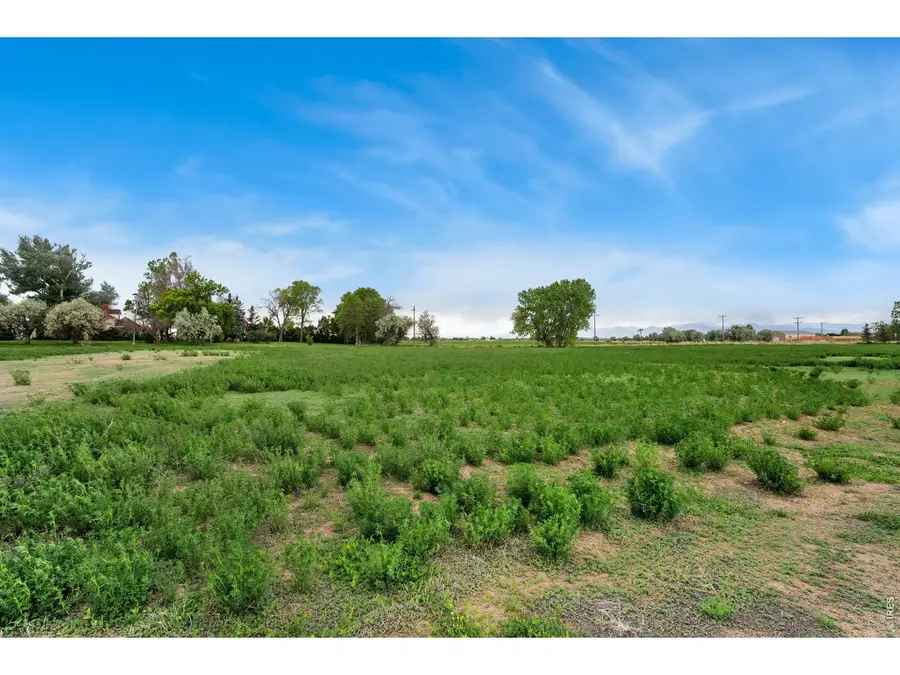 1544 Hauck Meadows Dr, Frederick, CO 80504 - #3