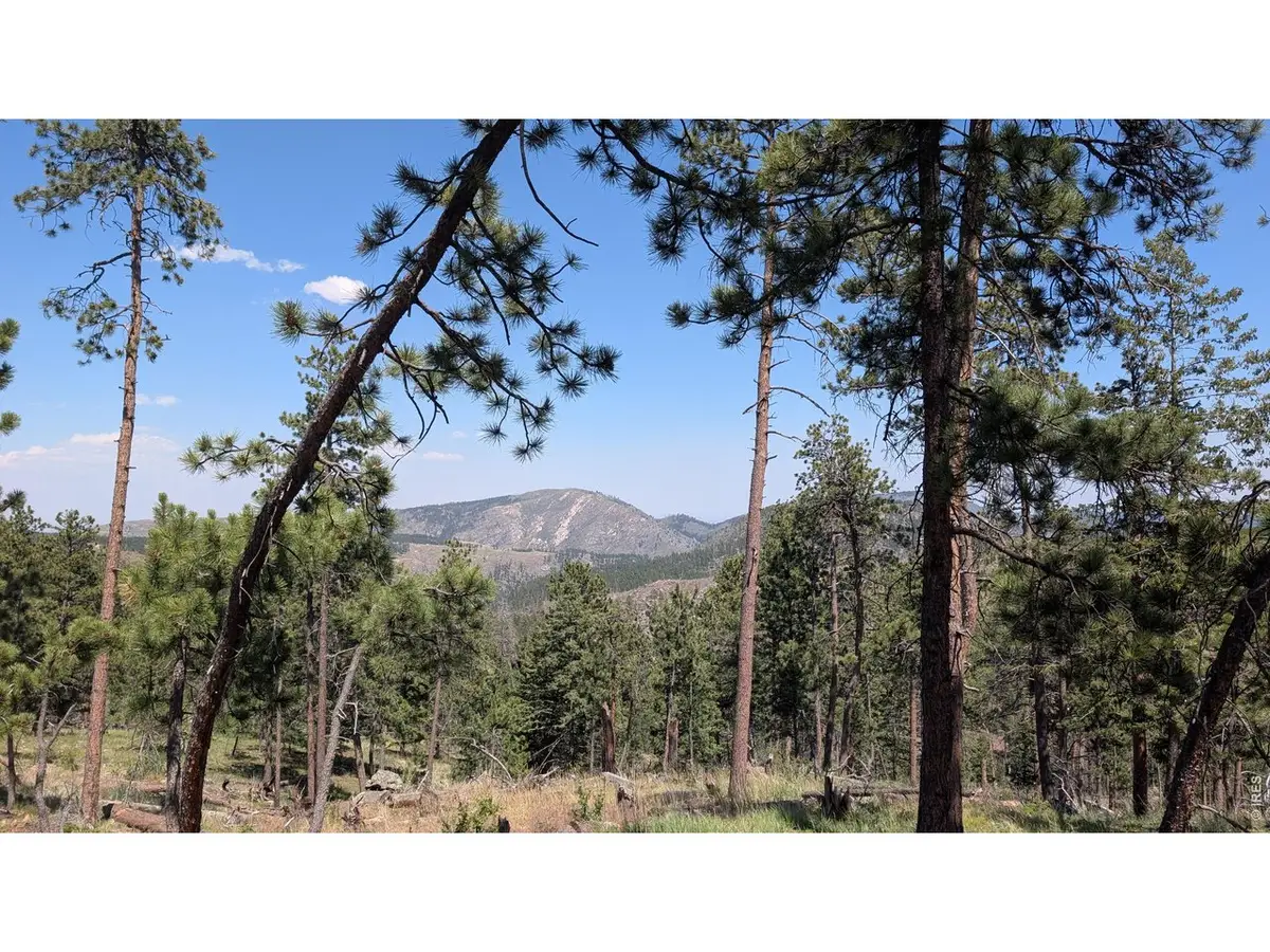 0 Old Camp Rd, Bellvue, CO 80512 - #1