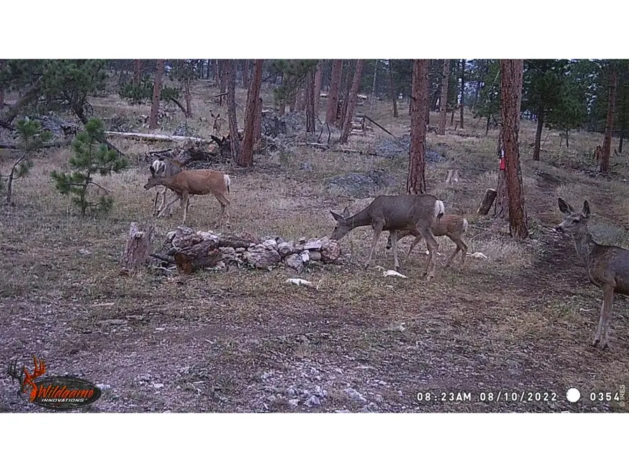 0 Old Camp Rd, Bellvue, CO 80512 - #3