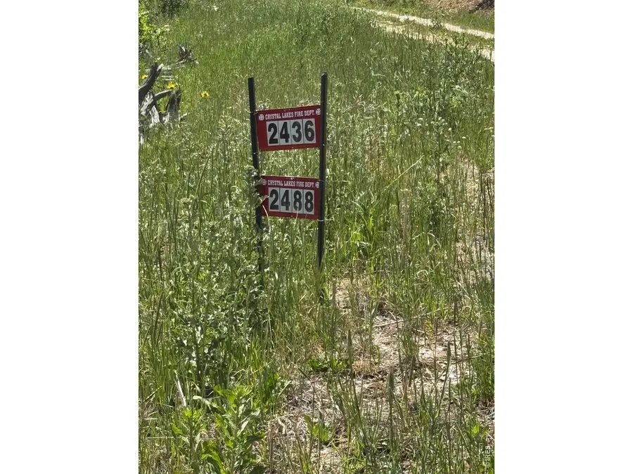 2488 Osage Trl, Red Feather Lakes, CO 80545 - #3