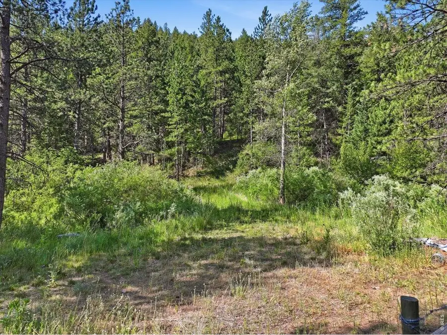 Spiritwood Ln, Bellvue, CO 80512 - #2