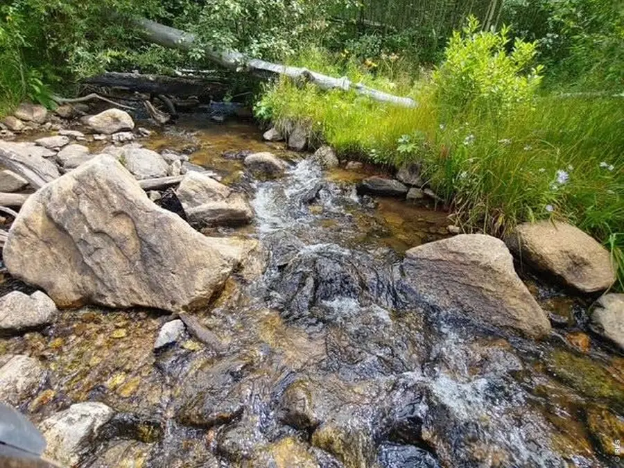Spiritwood Ln, Bellvue, CO 80512 - #3