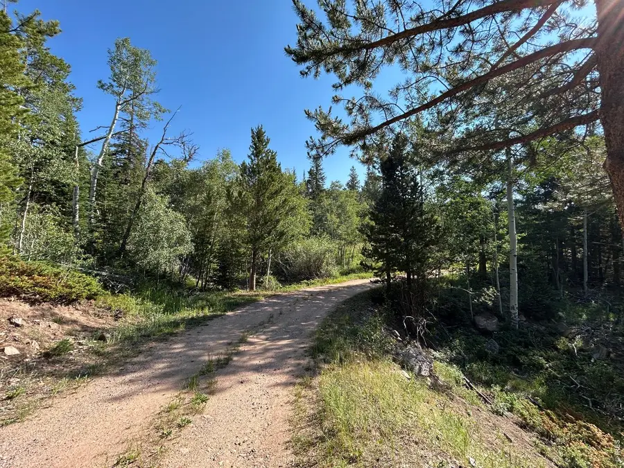 506 Elkridge Rd, Red Feather Lakes, CO 80545 - #2