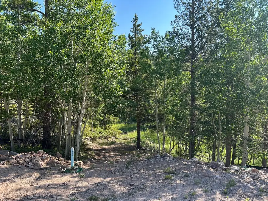 506 Elkridge Rd, Red Feather Lakes, CO 80545 - #3