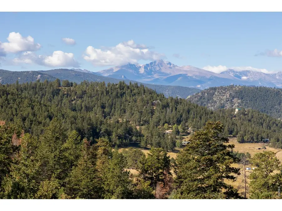 981 Palisade Mountain Dr, Drake, CO 80515 - #3