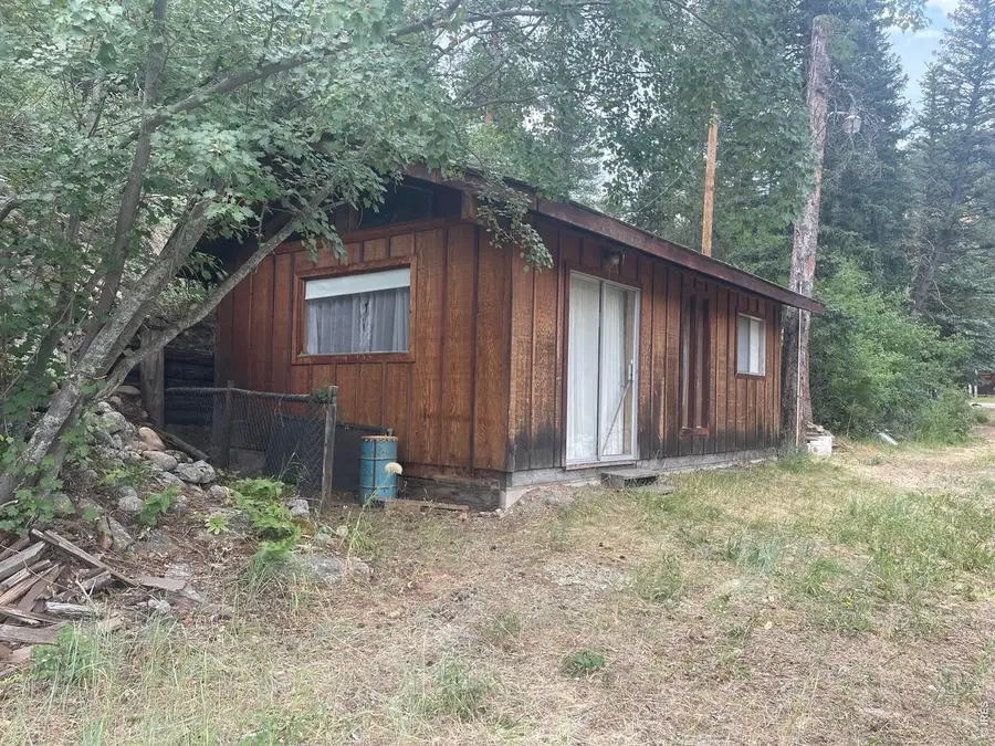 509 Riverside Dr, Lyons, CO 80540 - #2