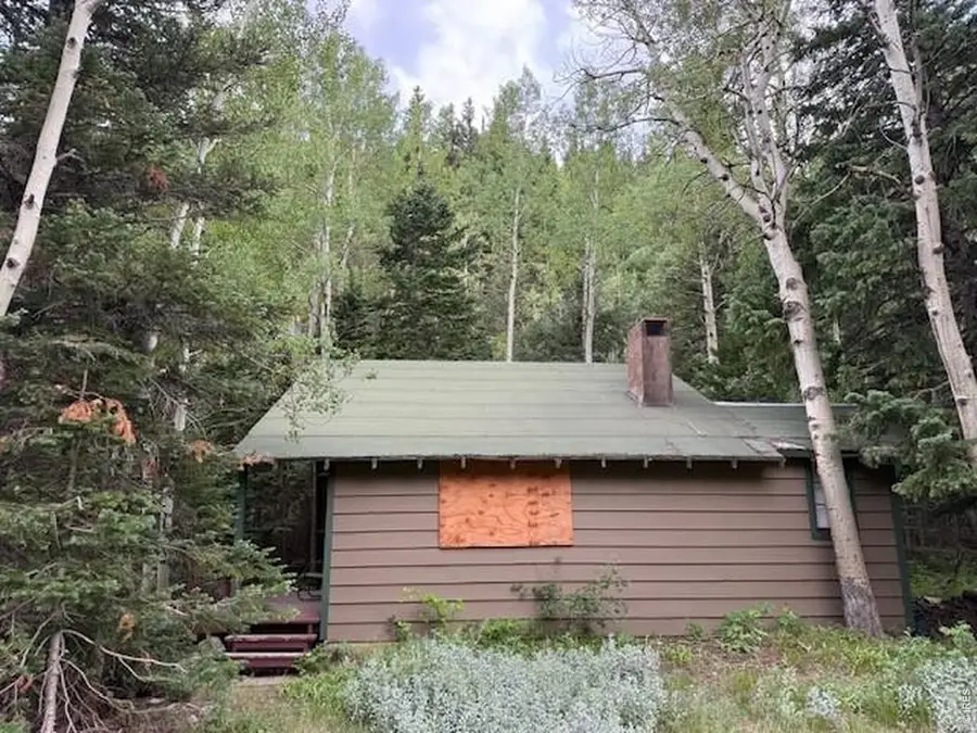 970 Bryan Ave, Nederland, CO 80466 - #2