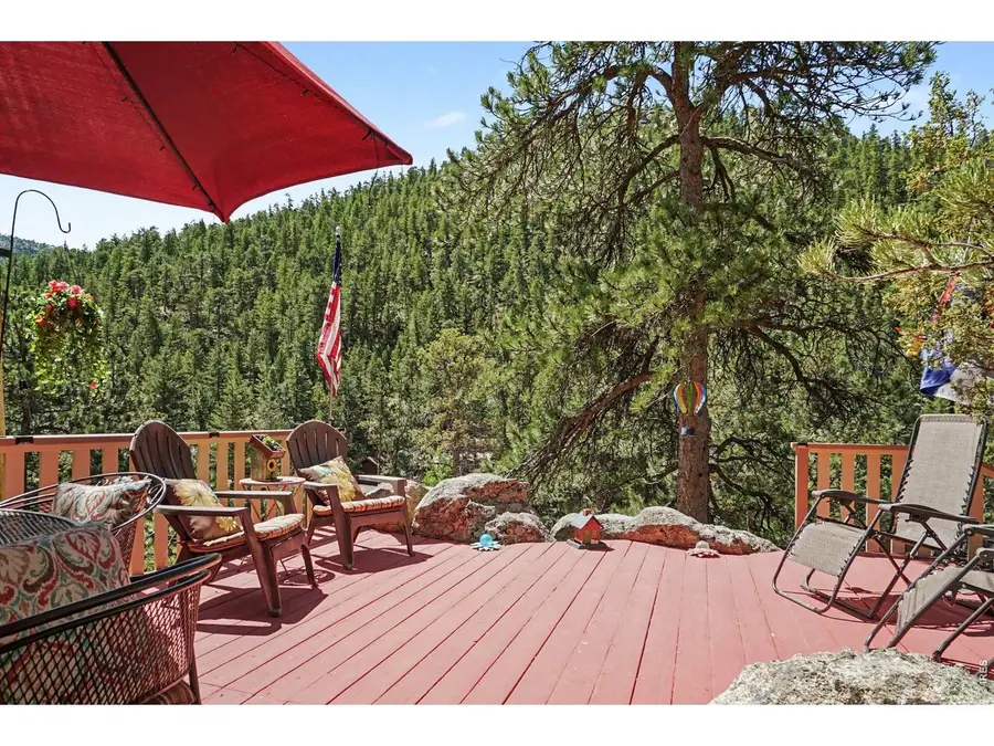 66 Flag Mountain Rd, Drake, CO 80515 - #3