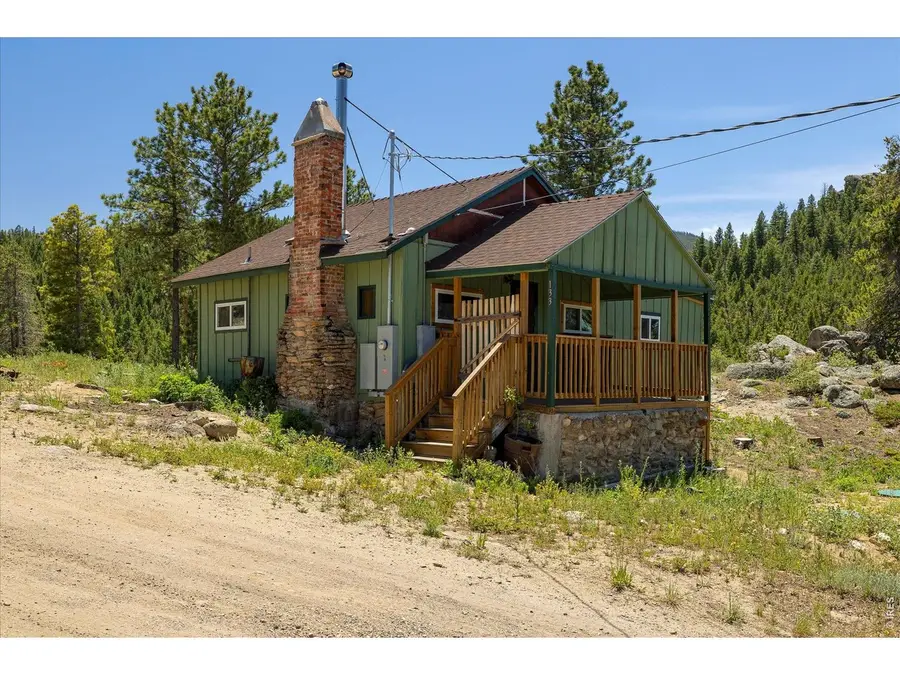 133 Black Bear Trl, Golden, CO 80403 - #3