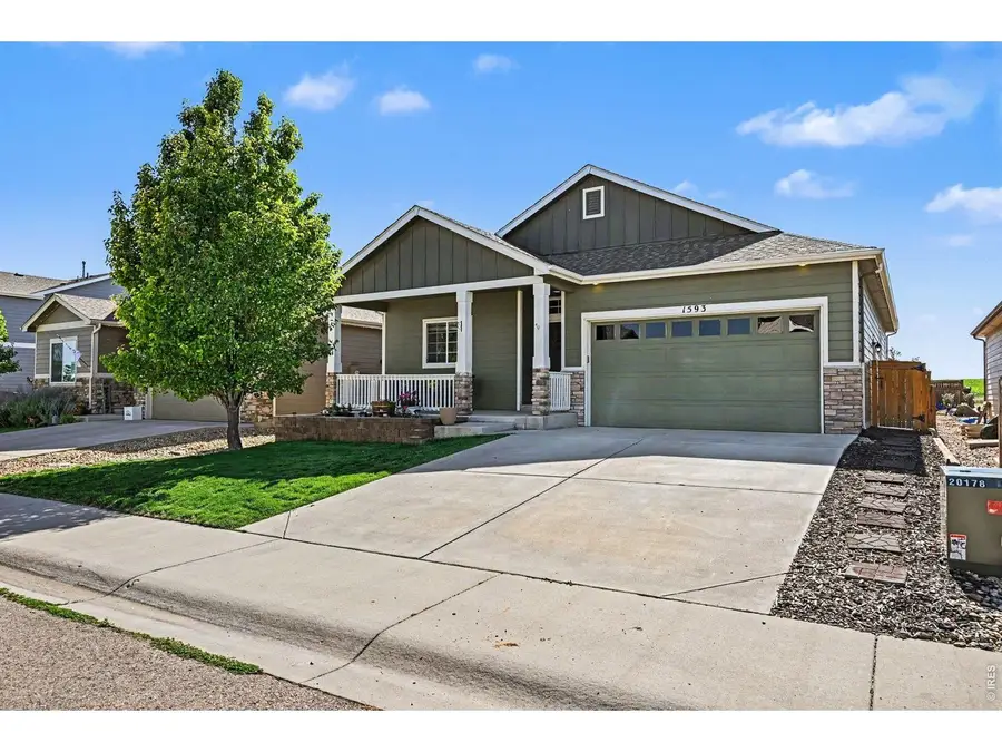 1593 Sierra Plaza St, Severance, CO 80550 - #2