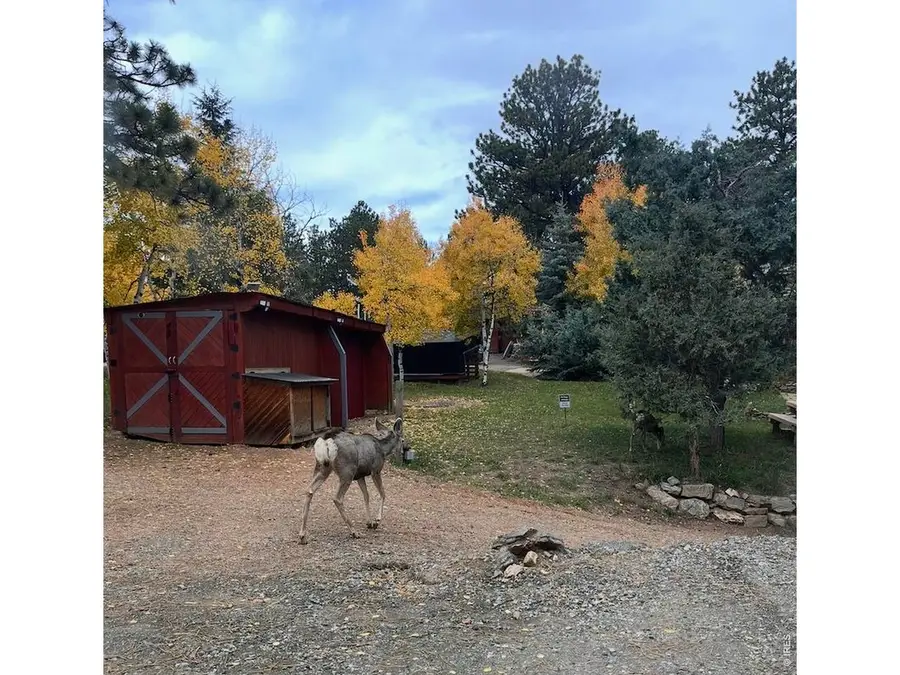 280 Bunny Rd, Bailey, CO 80421 - #3
