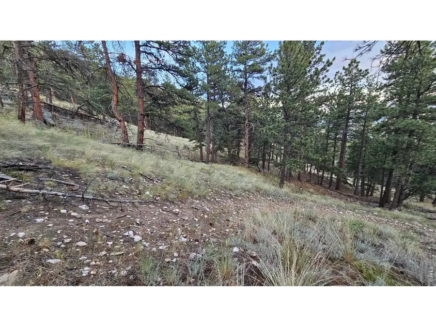 3724 Woodchuck Dr, Loveland, CO 80538 - #3