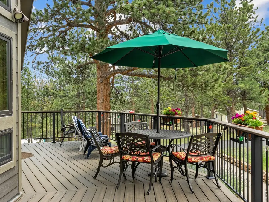 510 Chiquita Ln, Estes Park, CO 80517 - #3