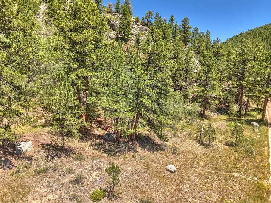 0 Cold Springs Rd, Nederland, CO 80466 - #3