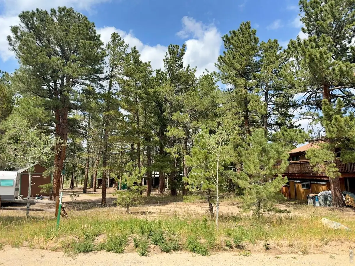 655 W Spruce St, Nederland, CO 80466 - #1