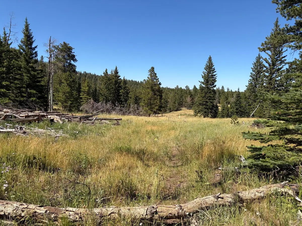 Pratt Creek Rd, Livermore, CO 80536 - #1