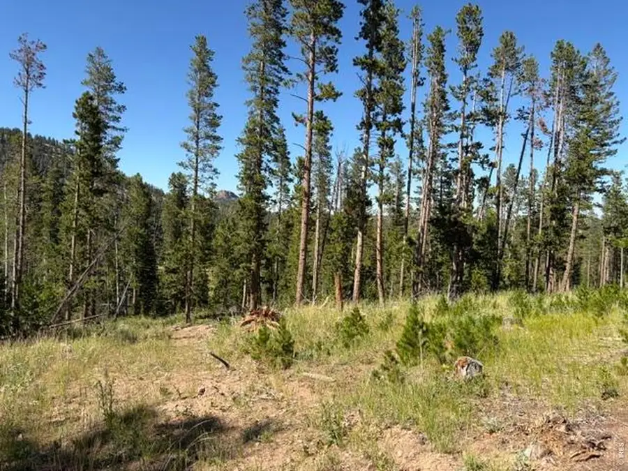 Pratt Creek Rd, Livermore, CO 80536 - #3