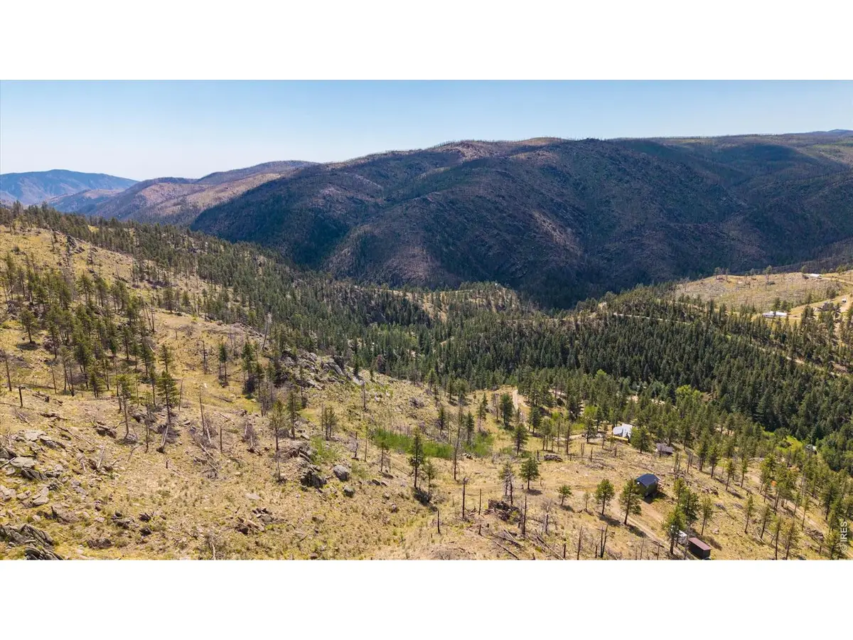 693 Cougar Dr, Bellvue, CO 80512 - #1