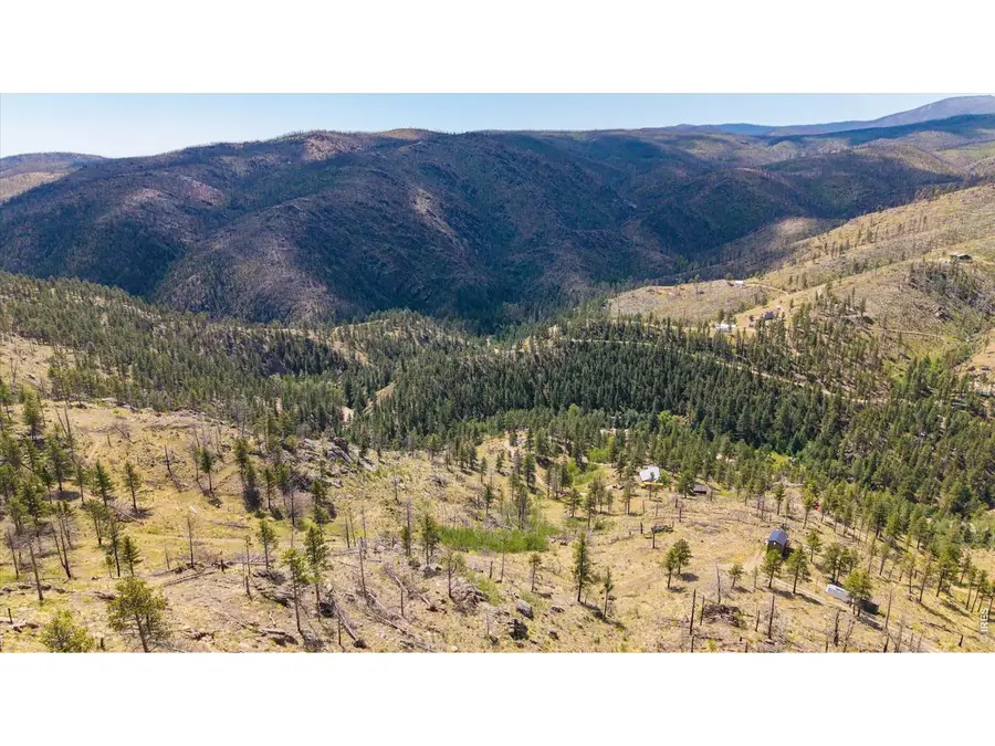 693 Cougar Dr, Bellvue, CO 80512 - #2
