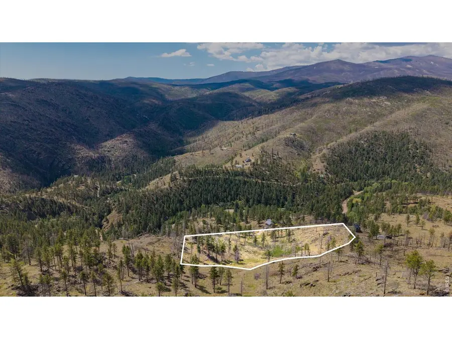 693 Cougar Dr, Bellvue, CO 80512 - #3