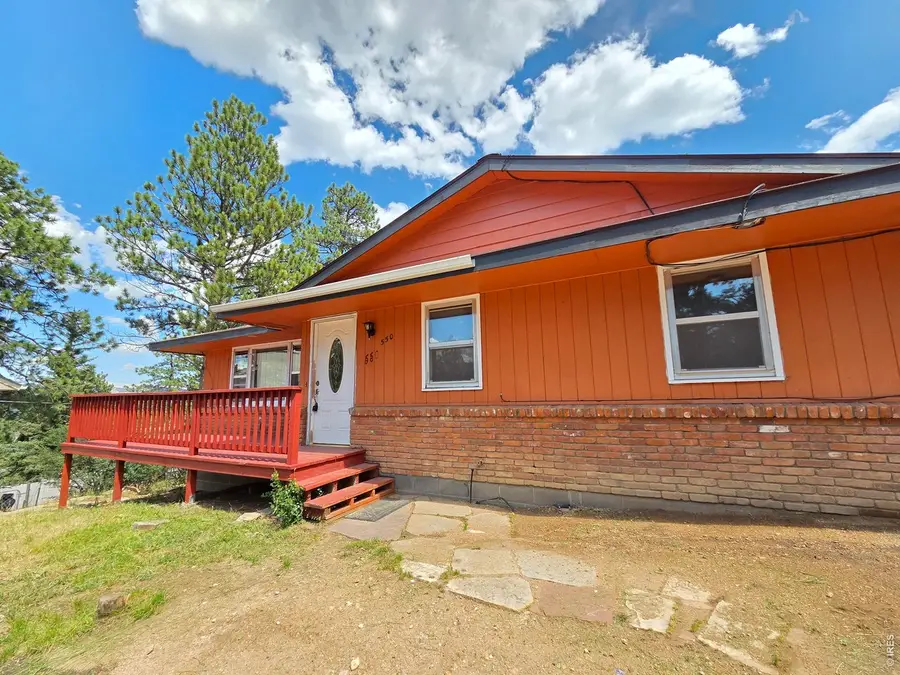 550 Birch Ave, Estes Park, CO 80517 - #2