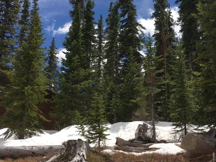 465 Quandary View Dr, Breckenridge, CO 80424 - #2