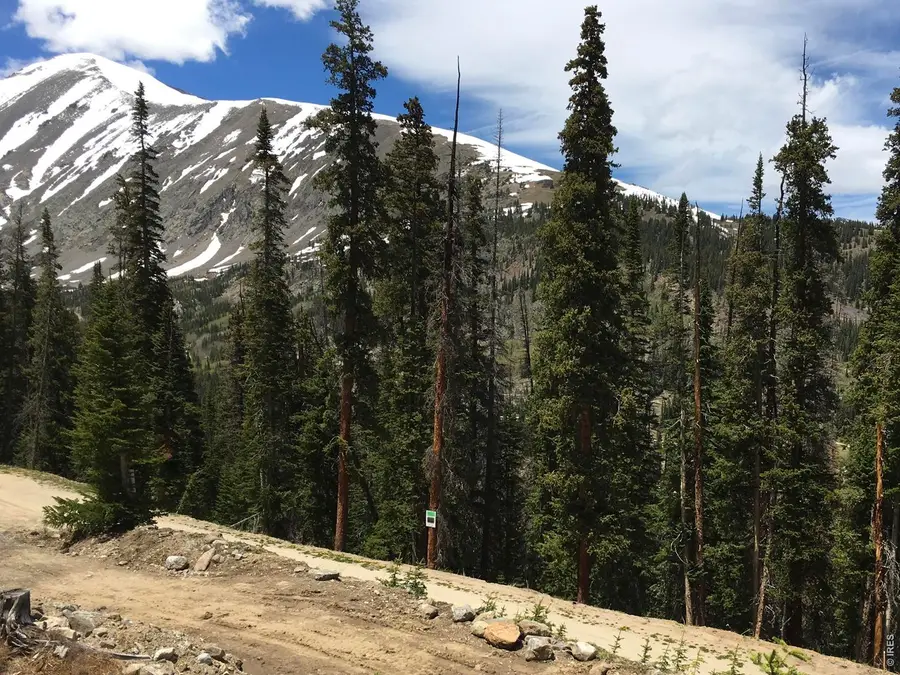 465 Quandary View Dr, Breckenridge, CO 80424 - #3