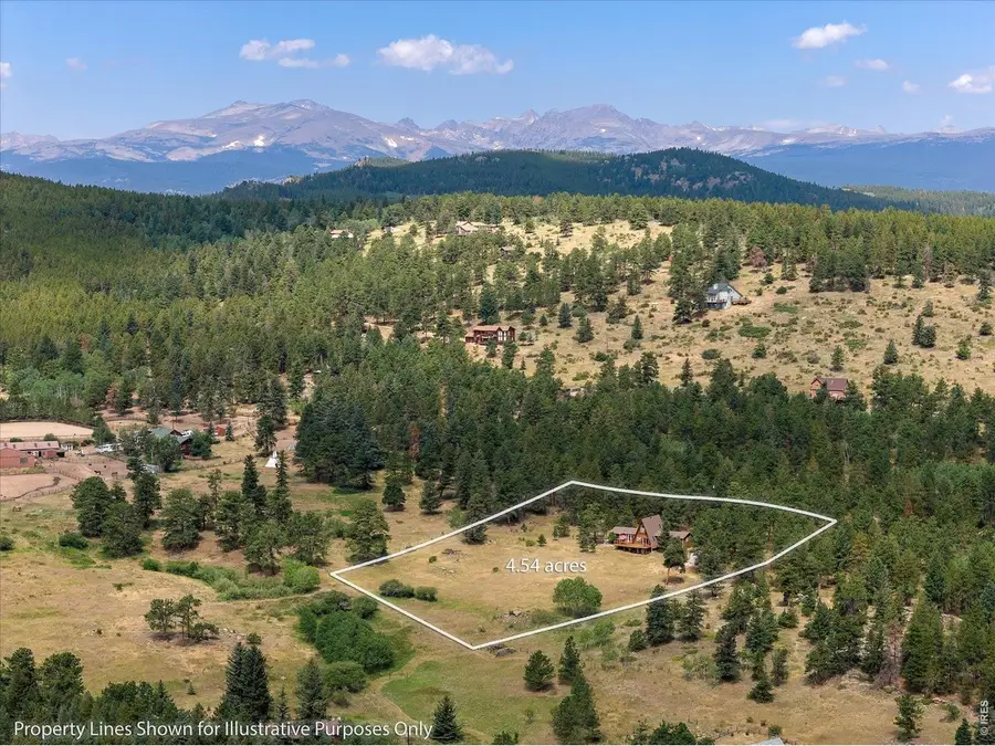 1650 Lazy Z Rd, Nederland, CO 80466 - #2