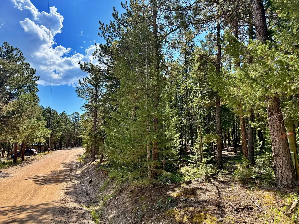 312 Ridge Rd, Ward, CO 80481 - #1