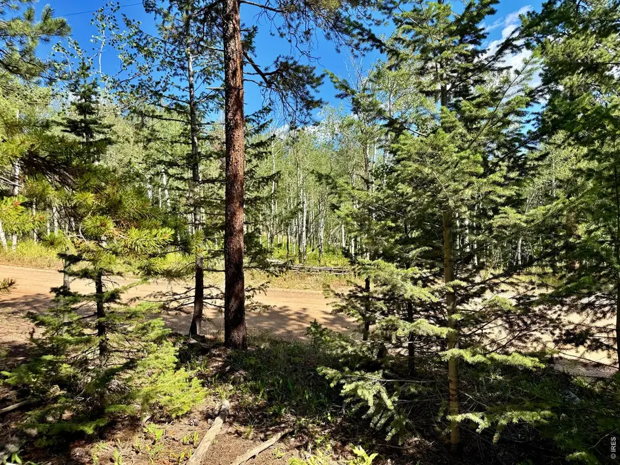 312 Ridge Rd, Ward, CO 80481 - #2