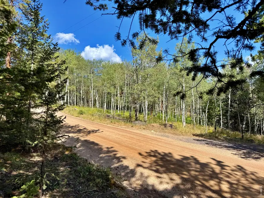 312 Ridge Rd, Ward, CO 80481 - #3