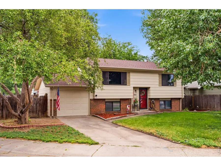 541 Sycamore Dr, Windsor, CO 80550 - #3