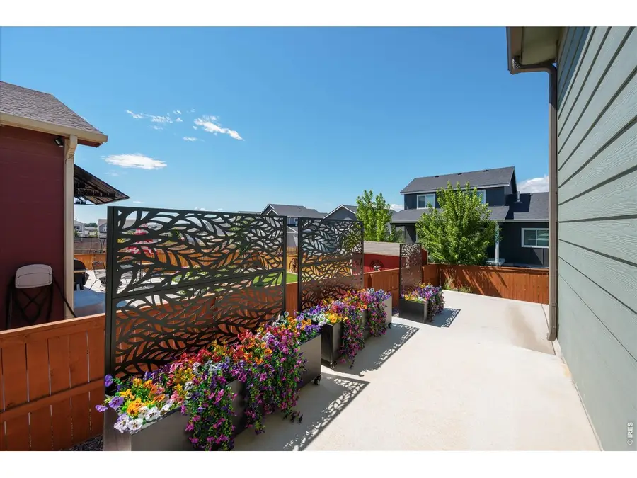 1087 Long Meadows St, Severance, CO 80550 - #3