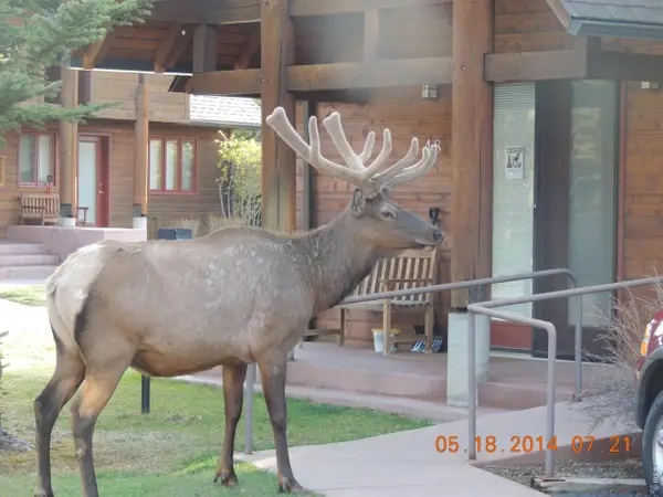 1565 Highway 66 #49, Estes Park, CO 80517