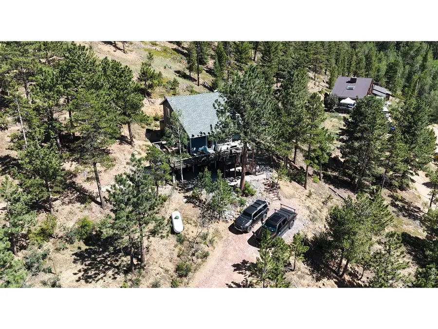 230 Alpine Dr, Nederland, CO 80466 - #2