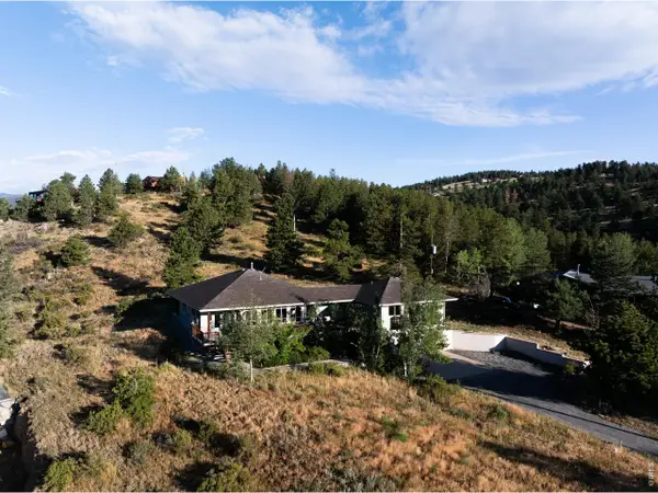 131 Hurricane Hill Dr, Nederland, CO 80466