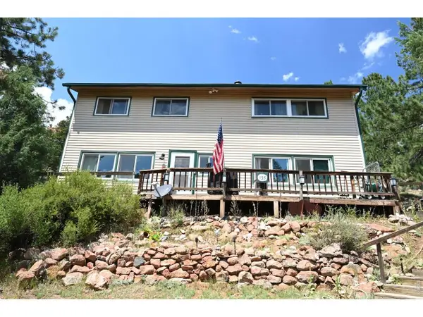135 Brookside Dr, Bailey, CO 80421