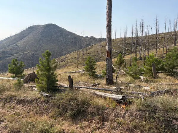 0 Pine Acres Rd, Bellvue, CO 80512