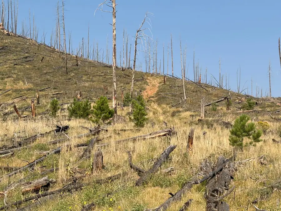 0 Pine Acres Rd, Bellvue, CO 80512 - #2