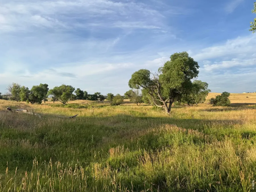 29643 County Road 17/21, Elizabeth, CO 80107 - #3