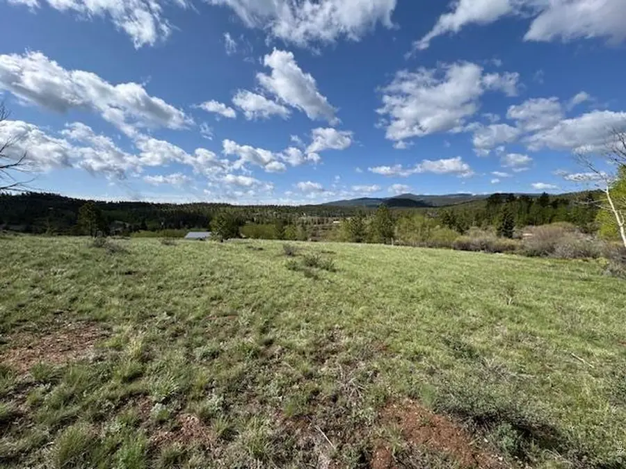 191 Cimarron Rd, Red Feather Lakes, CO 80545 - #2
