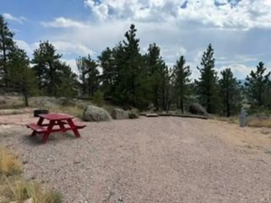 191 Cimarron Rd, Red Feather Lakes, CO 80545 - #3
