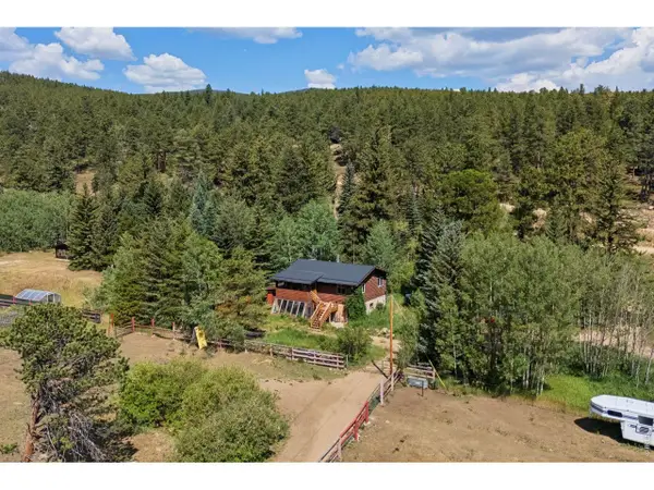 425 Caribou Rd, Nederland, CO 80466