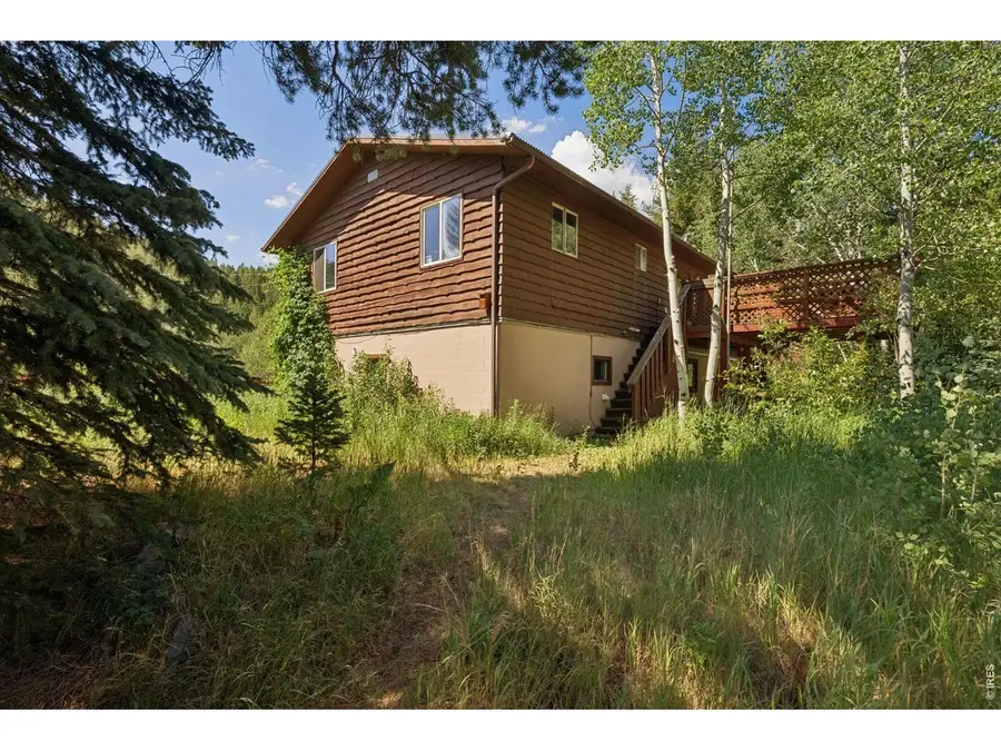 425 Caribou Rd, Nederland, CO 80466 - #3