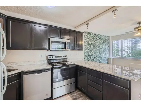 909 N Logan St #4-A, Denver, CO 80203