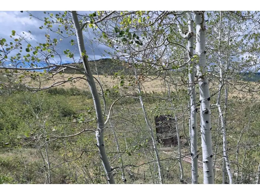 1245 Plano Rd, Sand Creek Township, CO 82070 - #2