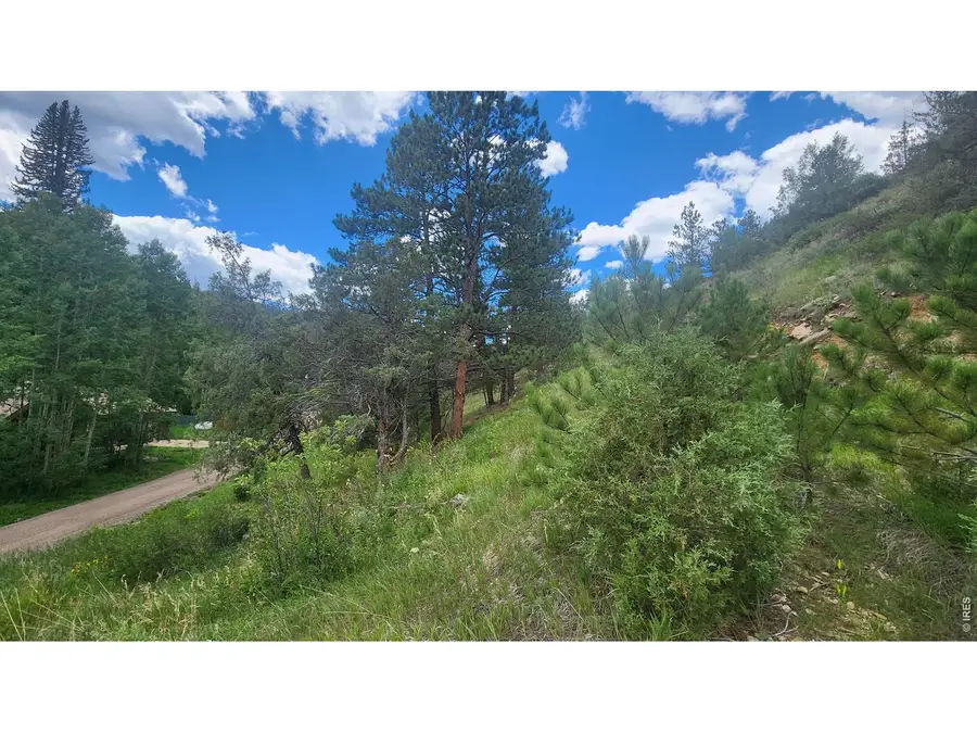 0 Streamside Dr, Glen Haven, CO 80532 - #3