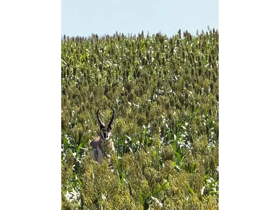 26 Gg Rd, Snyder, CO 80750 - #2